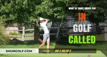 Understanding Golf's Scoring: What's Three Under Par Called?