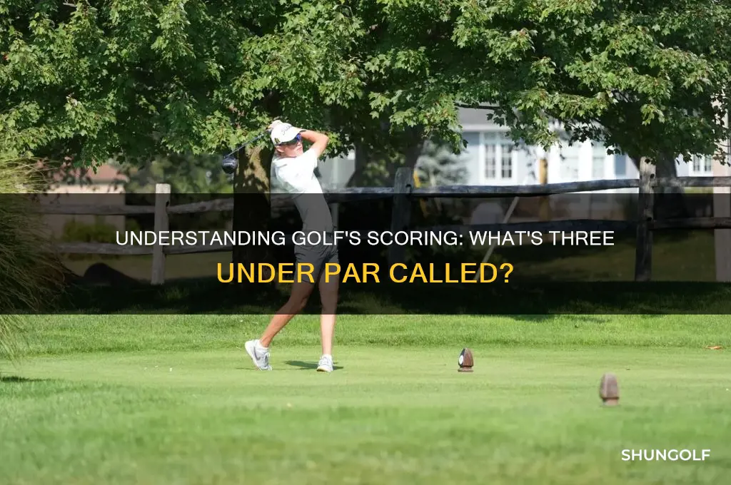 what is three under par in golf called