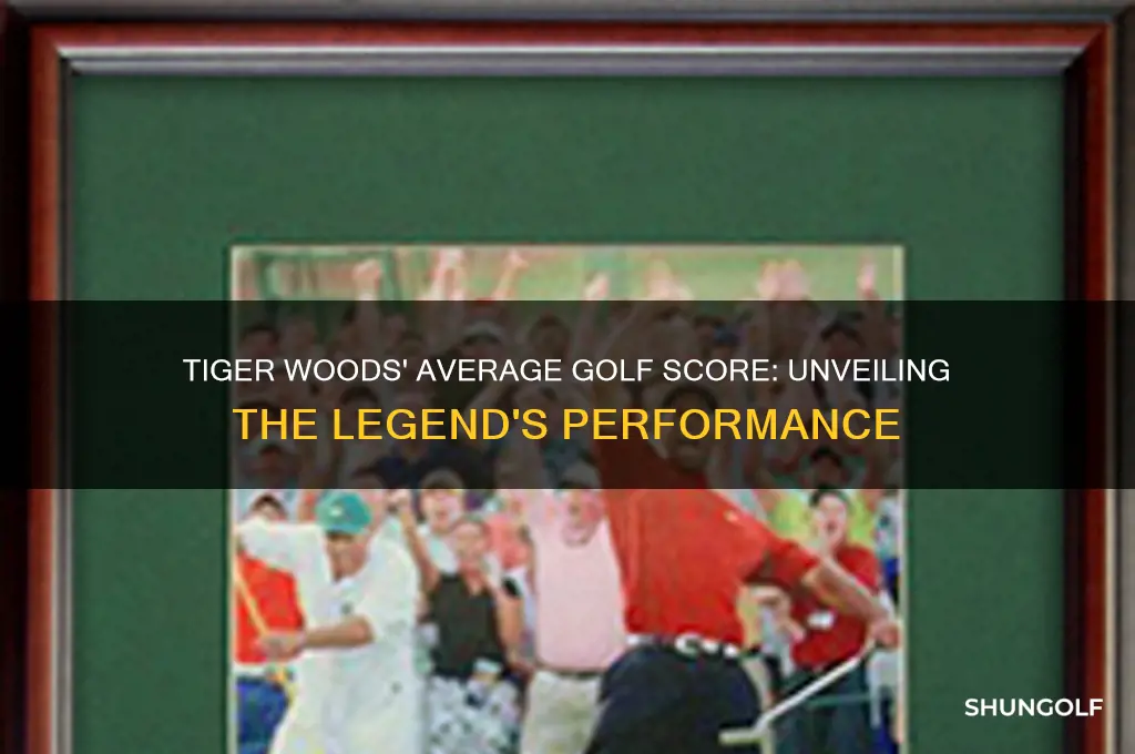 what is tiger woods average golf score