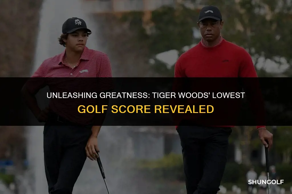 what is tiger woods best golf score