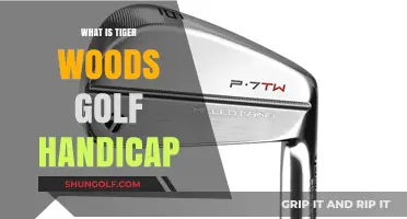 Tiger Woods' Golf Handicap: Unveiling the Legend's Skill Level