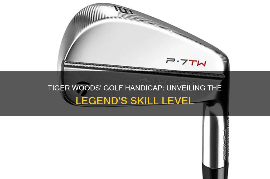 what is tiger woods golf handicap