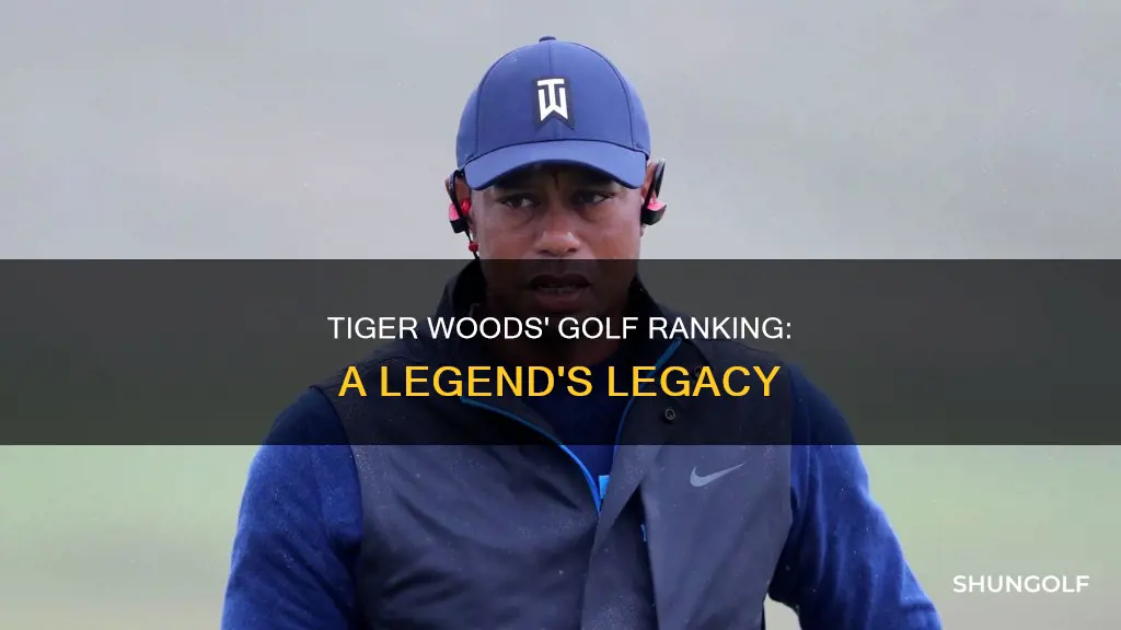 what is tiger woods golf ranking