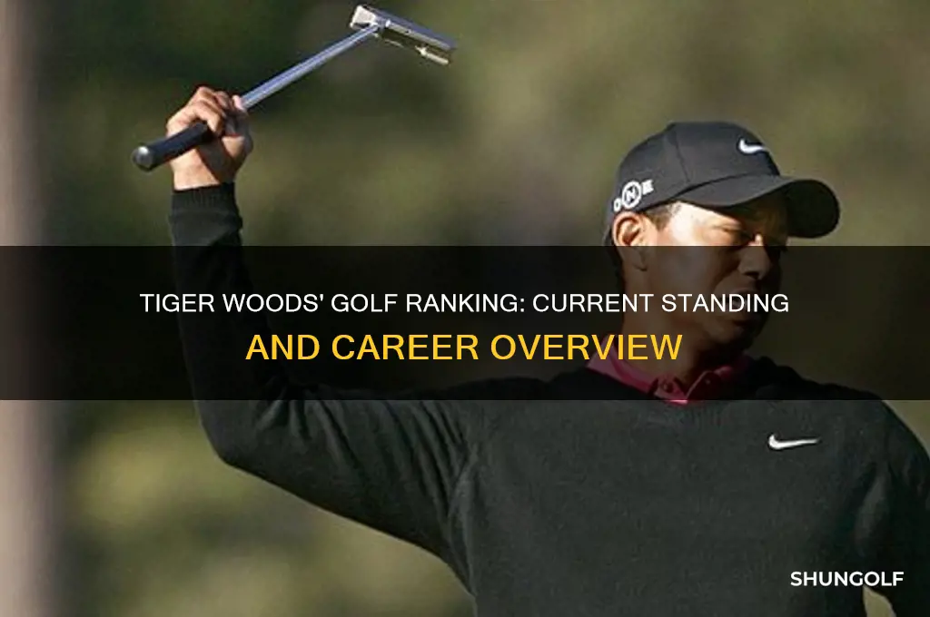what is tiger wood