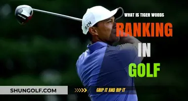 Tiger Woods' Current Golf Ranking: Where Does He Stand Today?