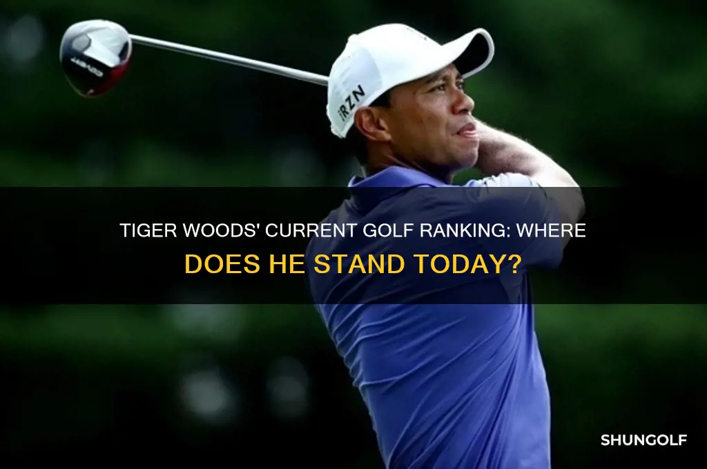 what is tiger woods ranking in golf