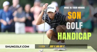 Tiger Woods' Son Golf Handicap: Unveiling Charlie Woods' Rising Talent