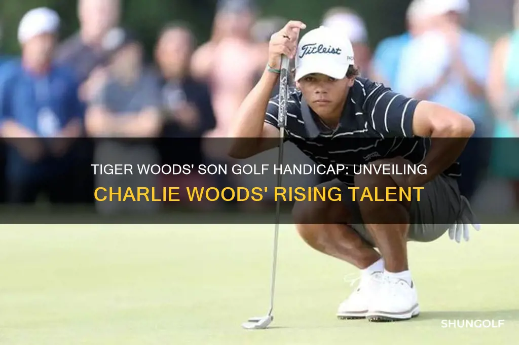 what is tiger woods son golf handicap