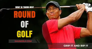 Unleashing Tiger's Prowess: A Deep Dive into His Greatest Golf Round