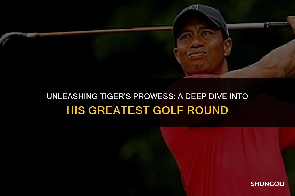 what is tigers best round of golf