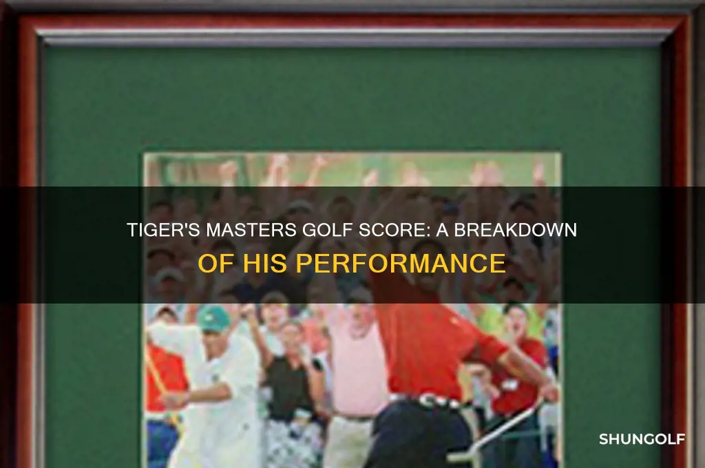 what is tiger