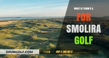 Understanding Tobin's Q: A Financial Analysis of Smolira Golf's Value