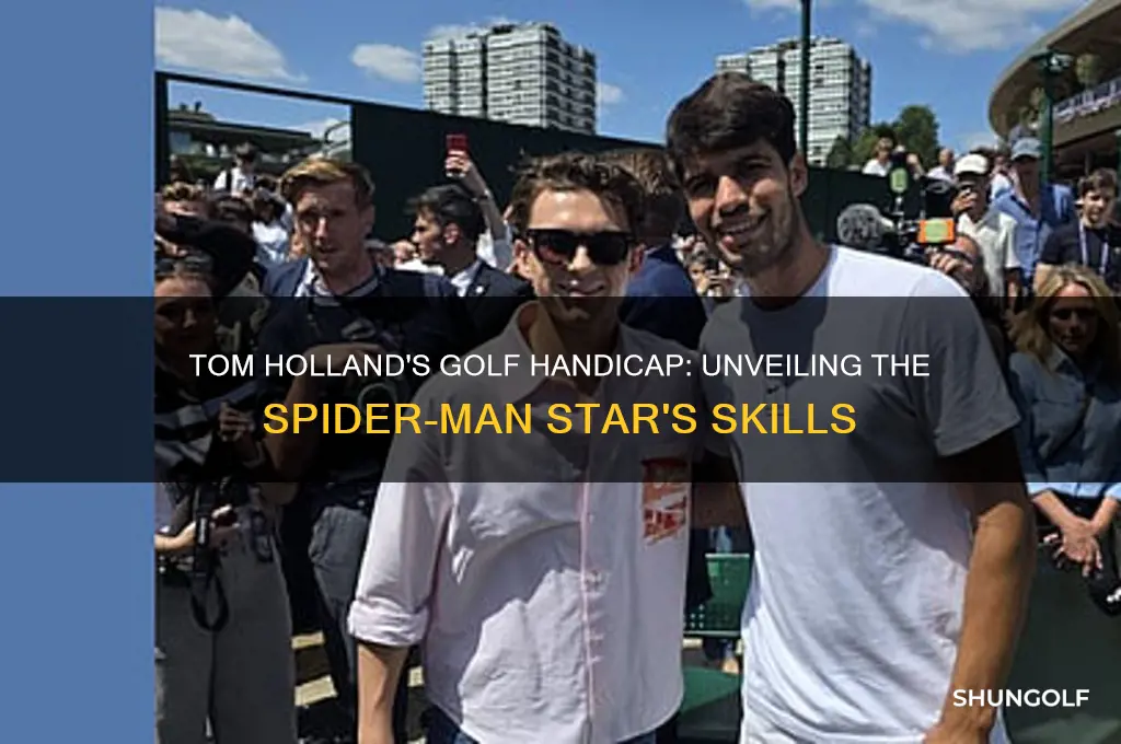 what is tom hollands golf handicap