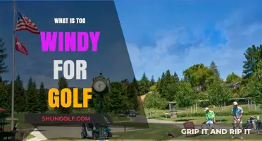 When Golfers Should Stay Indoors: Windy Weather Conditions