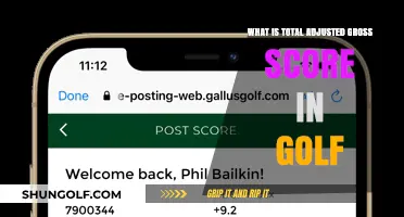 Understanding Golf's Total Adjusted Gross Score: A Comprehensive Guide