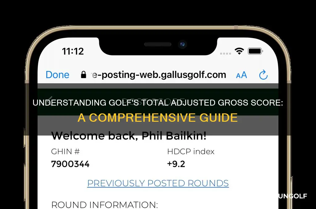 what is total adjusted gross score in golf