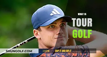 Golf Tour: A Professional Sport