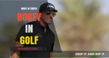 Golf Triple Bogey: Understanding the Basics