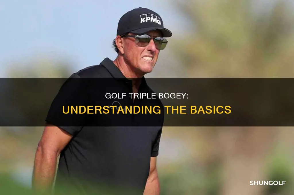 what is triple bogey in golf