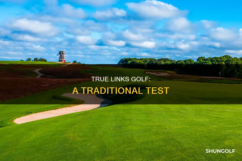 what is true links golf