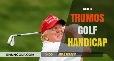 Understanding Trumos Golf Handicap: A Beginner's Guide to Calculation and Use