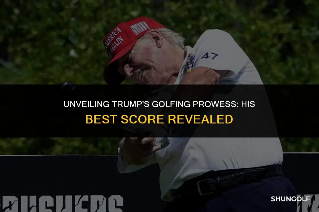 what is trump