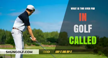 Understanding Golf's Bogey: What Does Two Over Par Mean?
