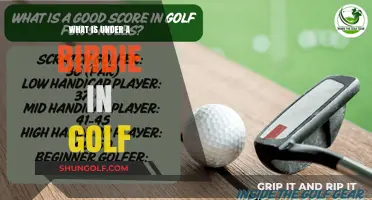 Golf Scoring Basics: Understanding Strokes Below Birdie Explained