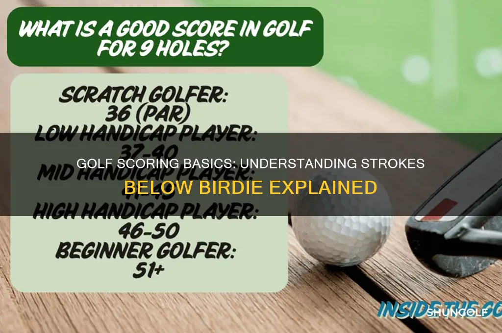 what is under a birdie in golf