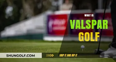 Valspar Golf: A Colorful Tournament