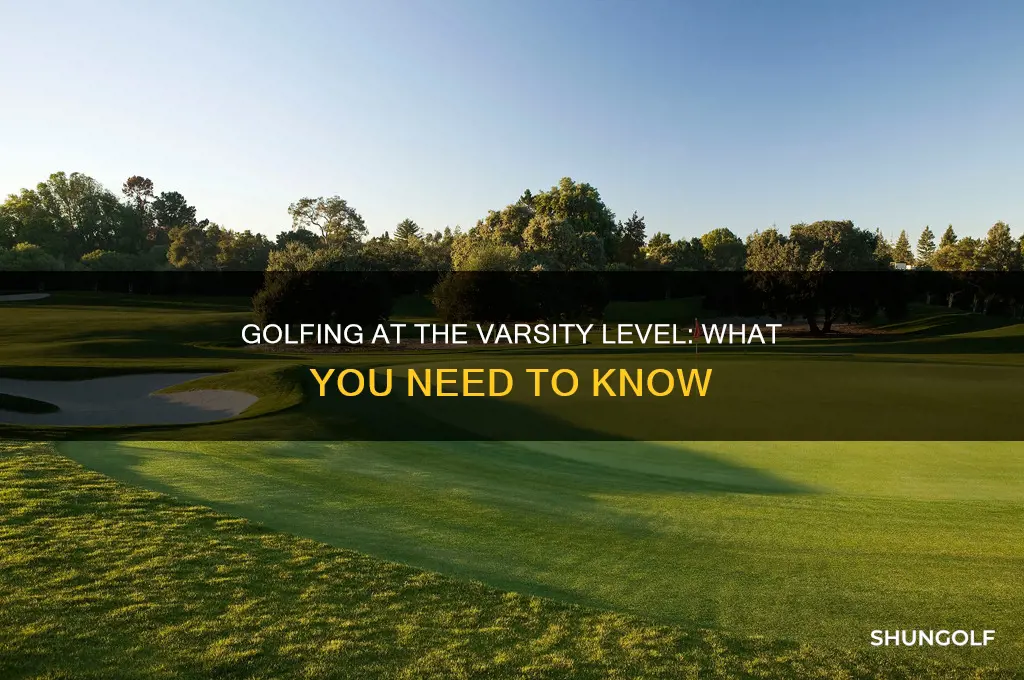 what is varsity level golf