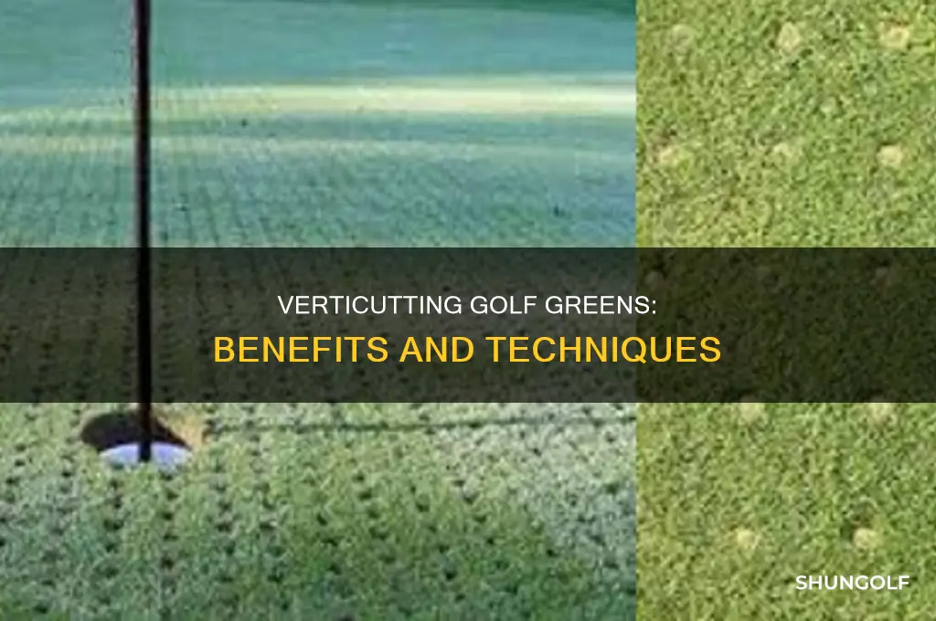 what is verticut on golf greens