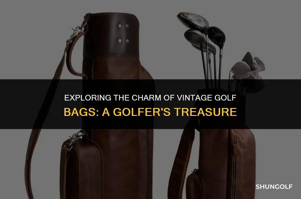 what is vintage golf bag