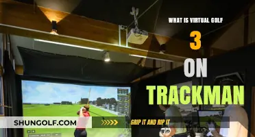 Exploring Virtual Golf 3: TrackMan's Immersive Simulation Experience