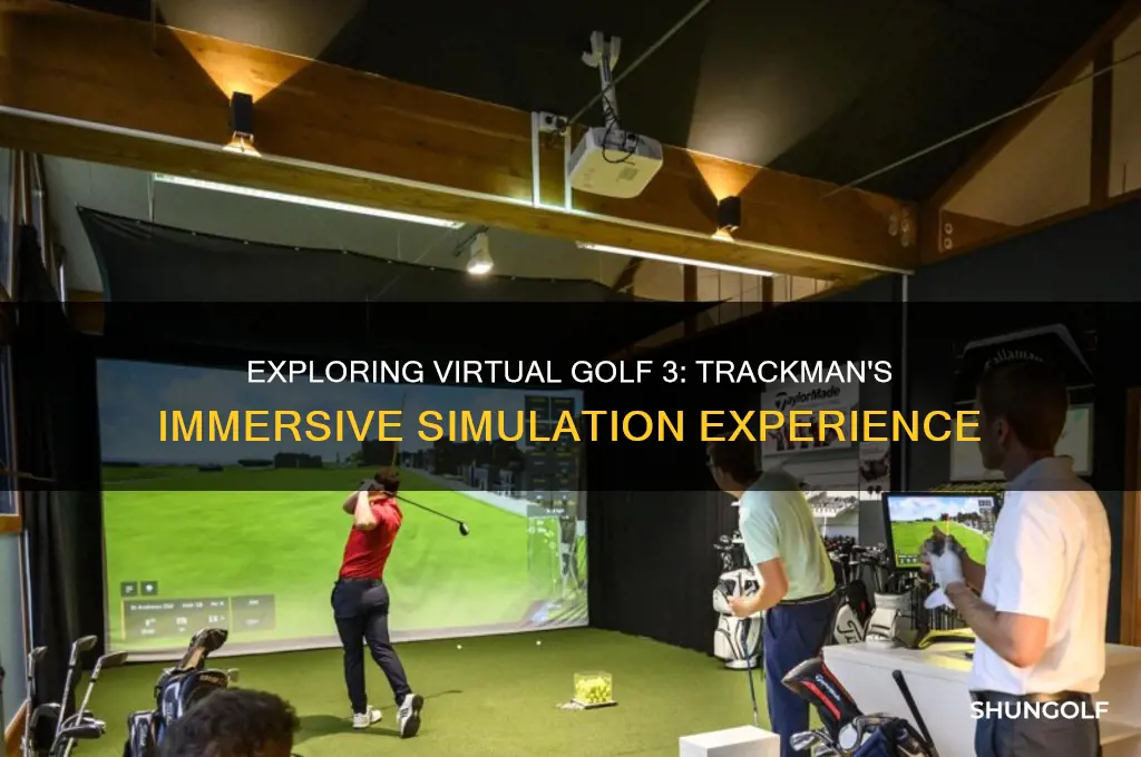 what is virtual golf 3 on trackman