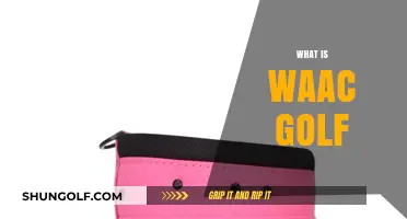 Golfing for a Good Cause: WAAC Golf
