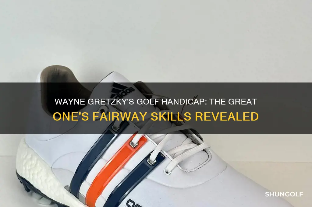 what is wayne gretzky