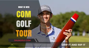 Web.com Tour: Gateway to the PGA