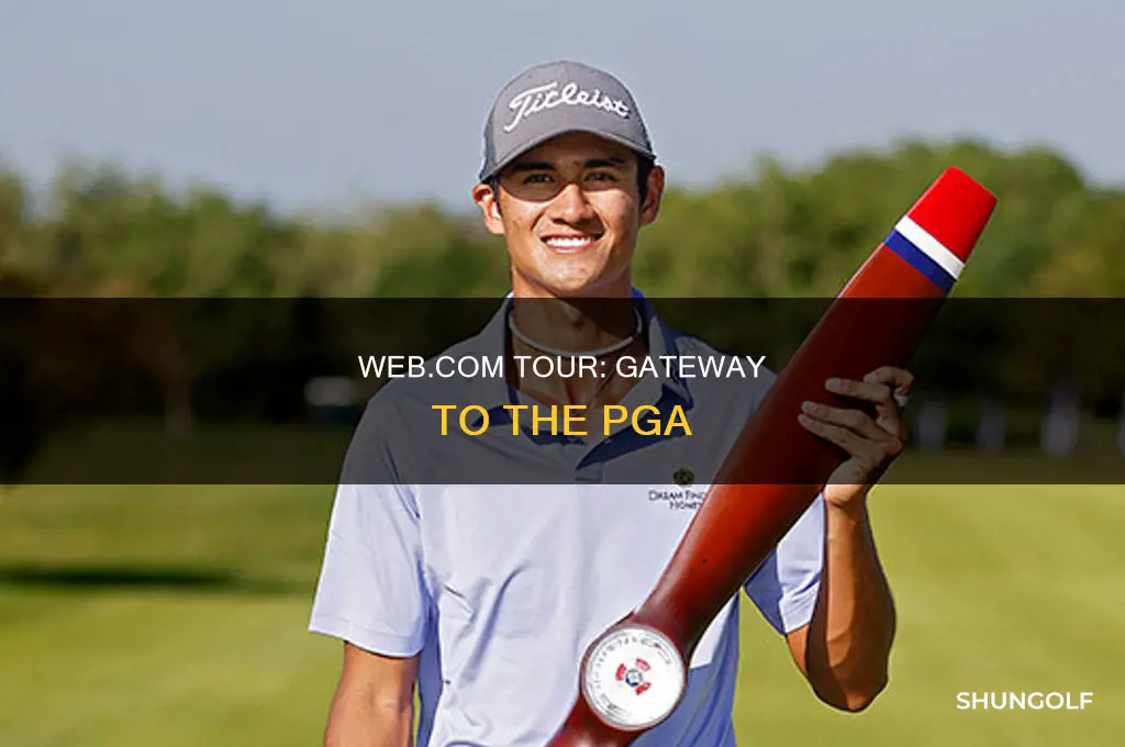 what is web com golf tour