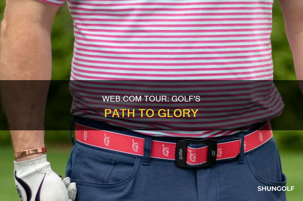 what is web com golf