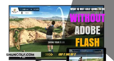 WGT Golf's Future: Navigating the Post-Adobe Flash Landscape