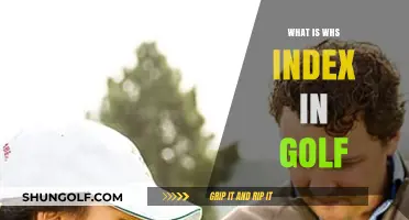 Understanding the WHS Index in Golf