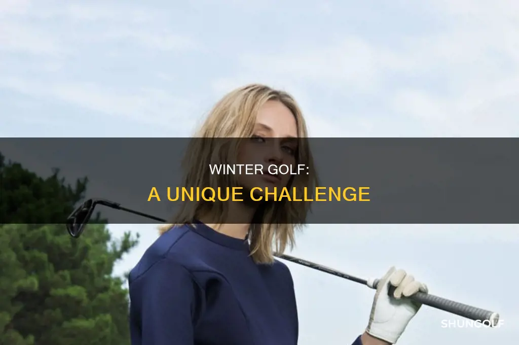 what is winter golf