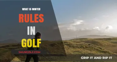 Winter Golf: Rules and Adaptations