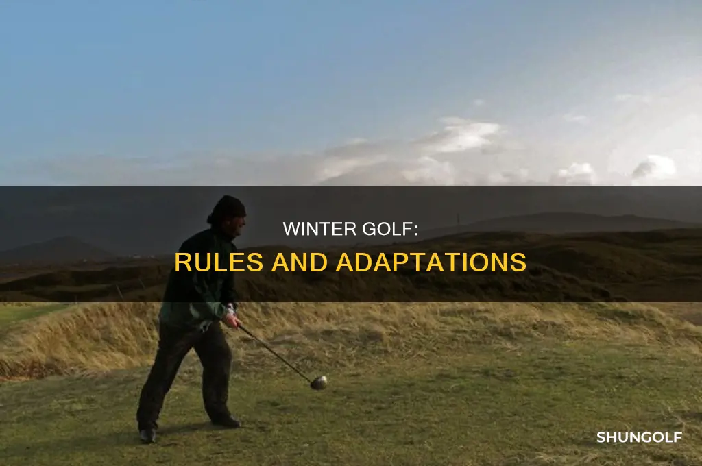 what is winter rules in golf