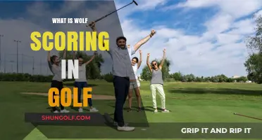 Wolf Golf: How to Score and Win