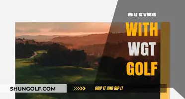 WGT Golf: What's Wrong With This Picture?