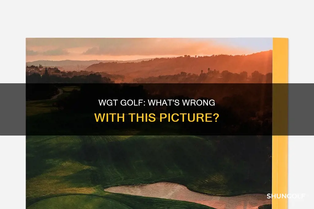 what is wrong with wgt golf