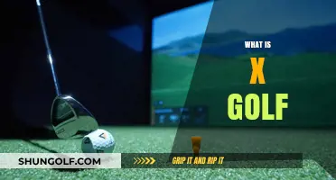 The Future of Golf: X Golf Explained
