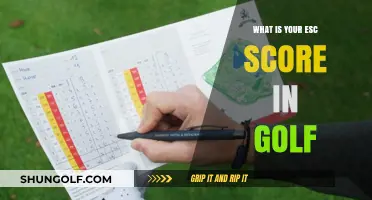 Understanding Your ESC Score in Golf: A Comprehensive Guide